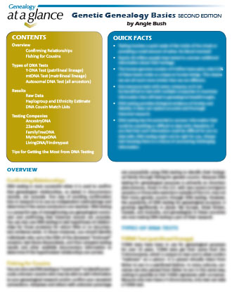 Genealogy at a Glance: Genetic Genealogy Basics. Second Edition