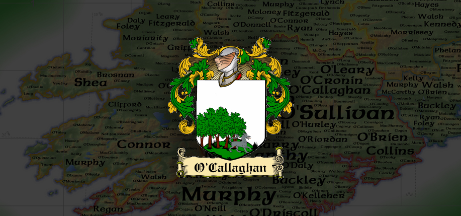 Clan Callaghan: The O Callaghan Family of County Cork.