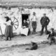 THE IRISH DIASPORA