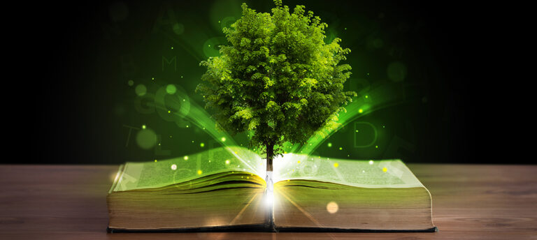Field Guide Like a Portable Encyclopedia for Genealogists
