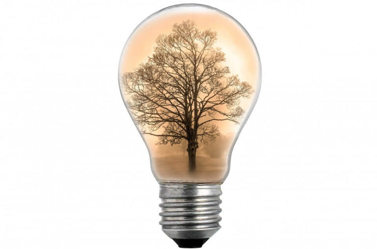 Genealogy Guides