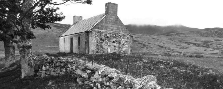 Guide to Irish Genealogy