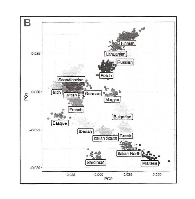 Determining Native American Ancestry with DNA Relies on Population ...